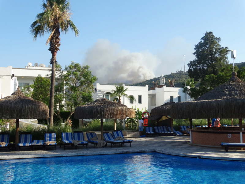 LA COTE EGEENNE SOUS LES FLAMMES  Un terrible incendie  Dsc02724