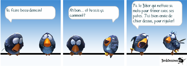 HUMOUR - blagues - Page 4 Les_oi10