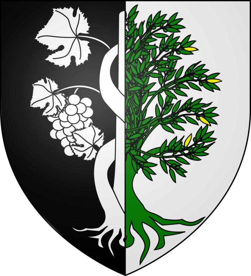 Demande d'aide pour un blason Baptis17