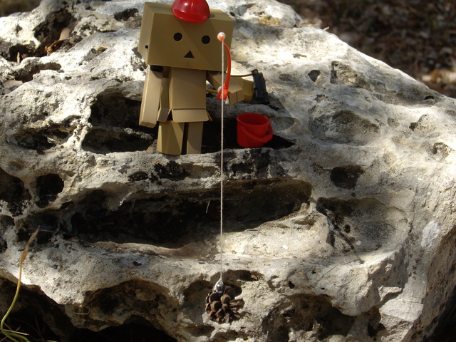 [Danboard] Tom et la nature ! - Page 3 3510