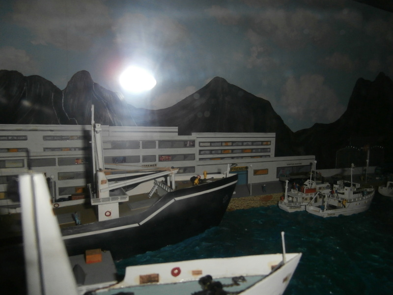 Dioramas réunissant plus de 200 bateaux de toutes catégories et réalisés par mon père entre 1970 et 1993 P8300925