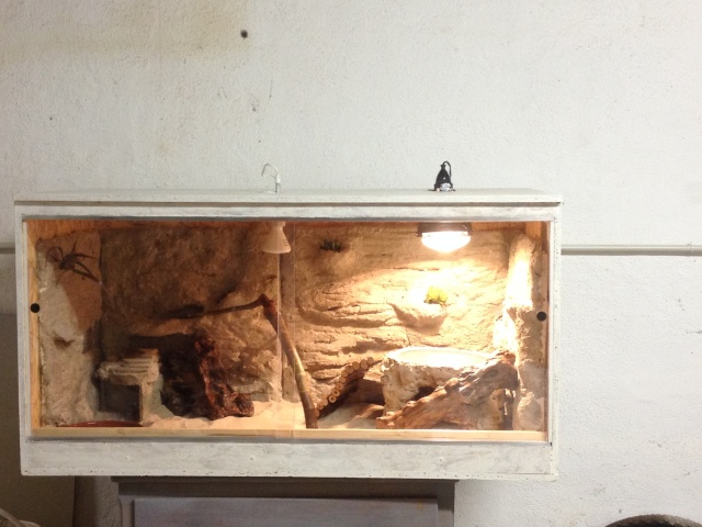 Regroupement des terrariums des membres Engun110