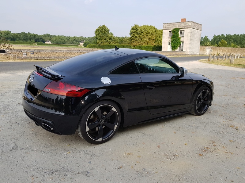 TT RS --- UrsusAméricanus 0910