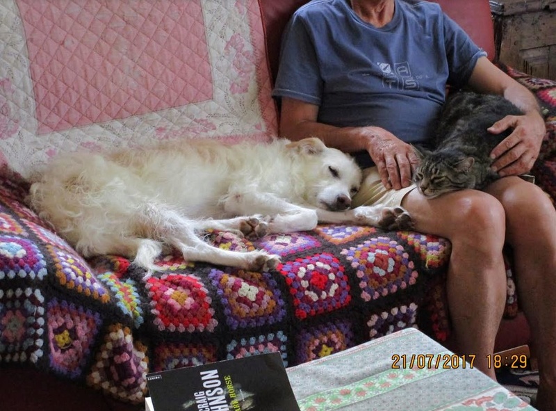 EVEREST, femelle, née environ octobre 2015 (Pascani) - REMEMBER ME LAND - Adoptée par Annick et Jacques (83) - Page 4 819