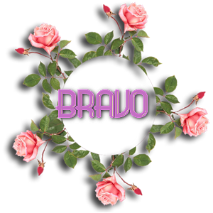 Pensive Bravo010