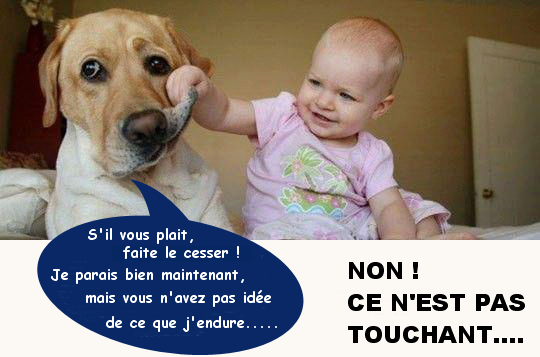 Le langage du chien 75823_10