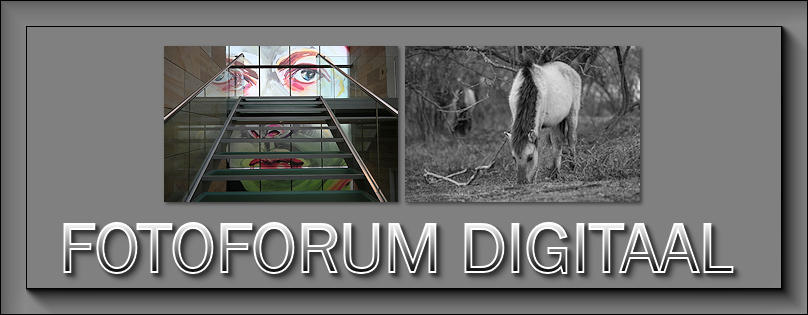 Welkom op fotoforum Digitaal Maart10