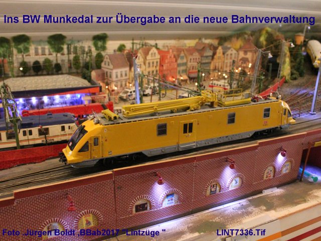 Bauberichte ab 2017 - Seite 4 Lint7317