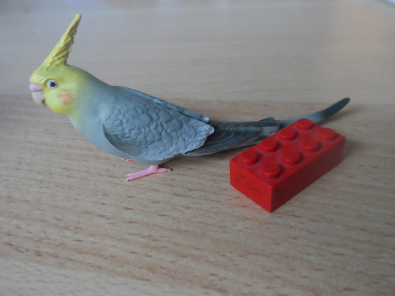 Pictures for Toy Animal Wiki Sam_2915