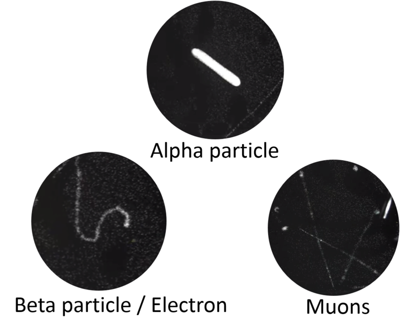 Observez les particules cosmiques et la radioactivité naturelle EN DIRECT ! Alpha_10