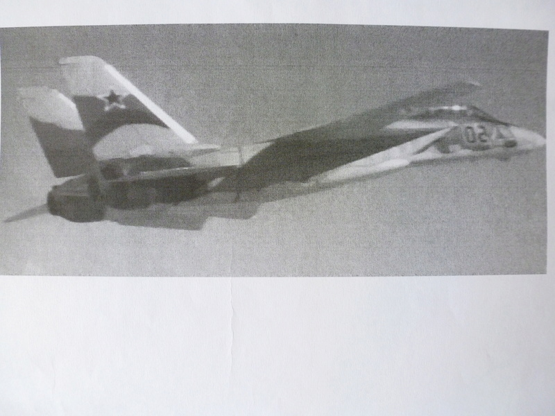 F 14 A  Tomcat  IRIAF   Hobby Boss  1/72 - Page 2 P1100516
