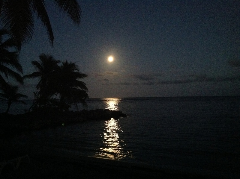Photos sans trucage... Mon HOME Spot..... - Page 2 Image10