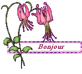 Mes hibiscus et moi...une longue histoire - Page 12 Bonjou10