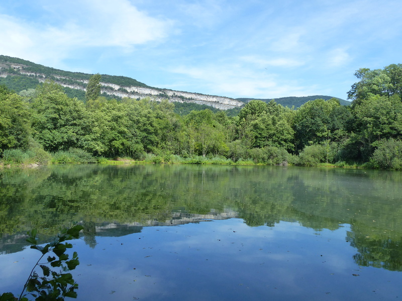 Serrières-de-Briord et ses étangs P1110114