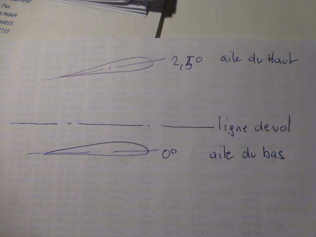 Pour m'envoyer en l'air, un bel oiseau biplan ! - Page 4 P1120536