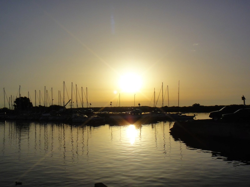 Concours photo du mois de Juillet 2012-010