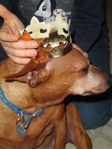Adoption Ursula 9 ans. (Doubs, 25) - Page 3 13010910