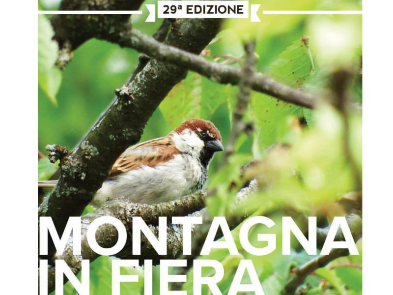 fiera - MONTAGNA IN FIERA Montag10