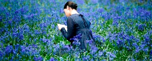 Le classement de vos romans préférés de Jane Austen Banwd610