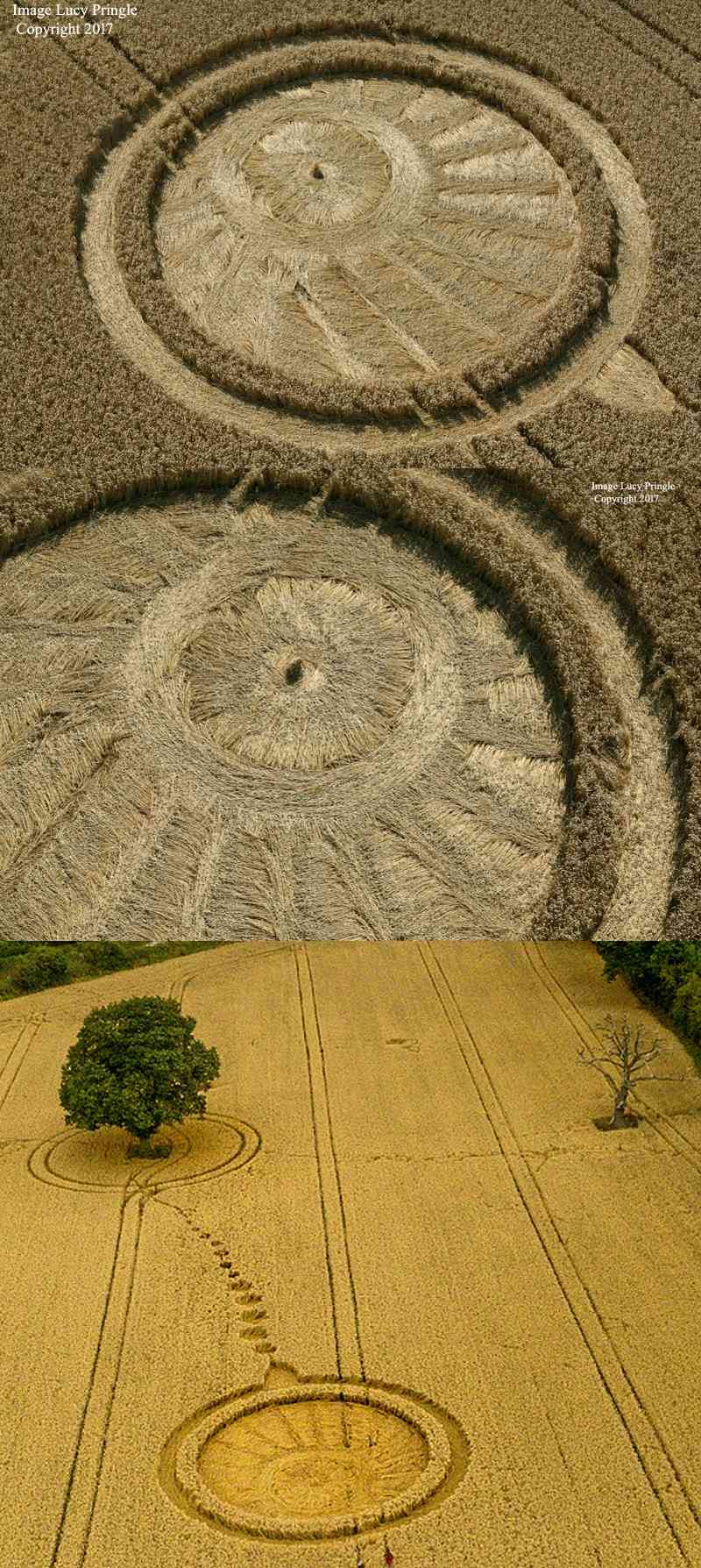 images originales : les crop circles de 2017 - Page 4 Fdbbfd11