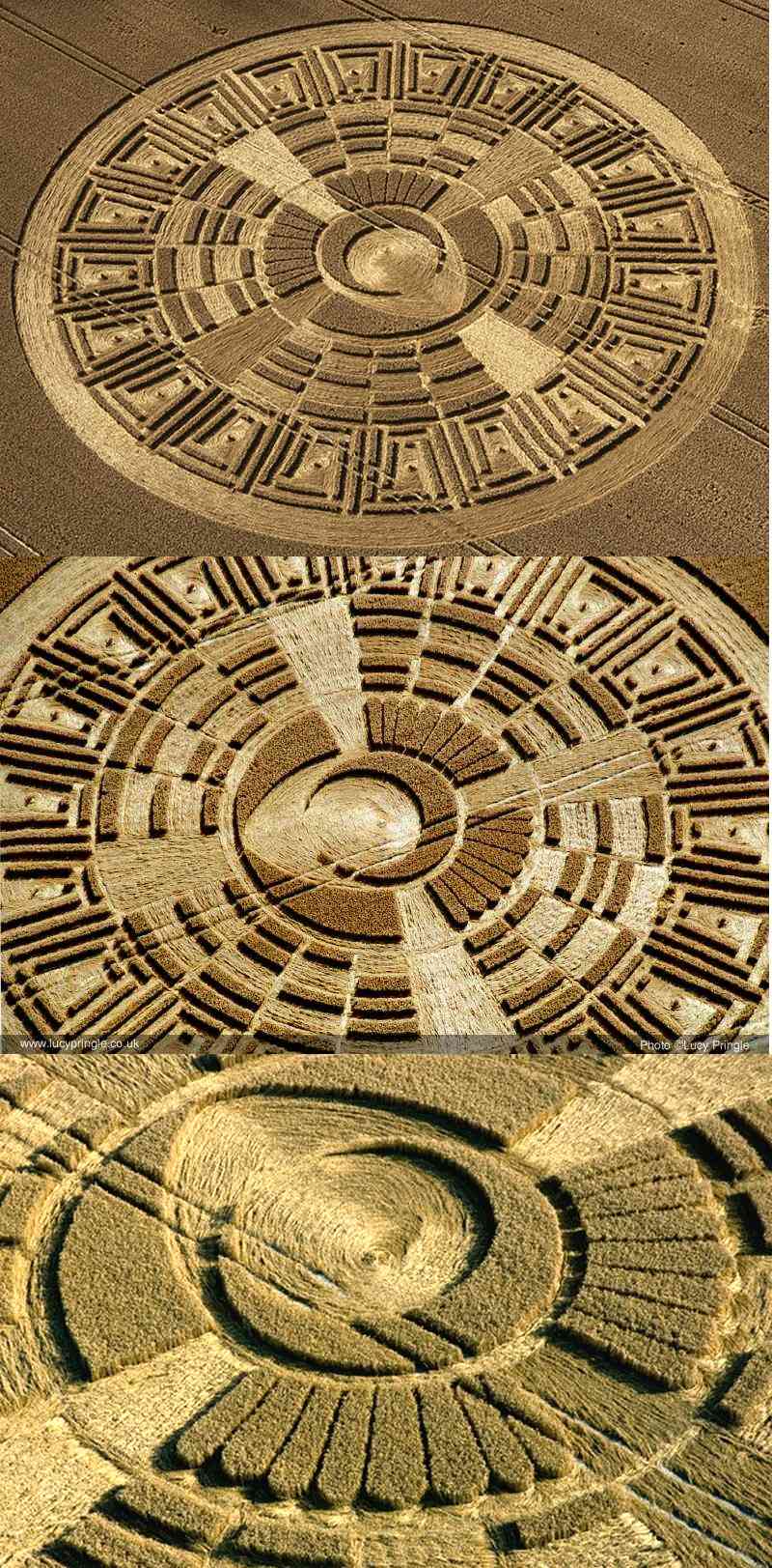 images originales : les crop circles de 2017 - Page 2 Phdvs10