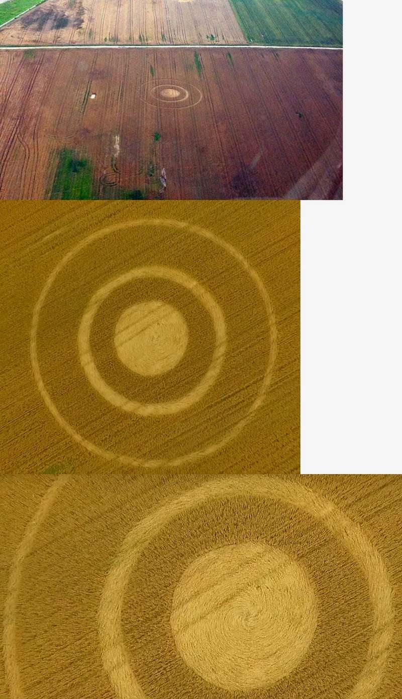 images originales : les crop circles de 2017 - Page 4 Pjdsps10