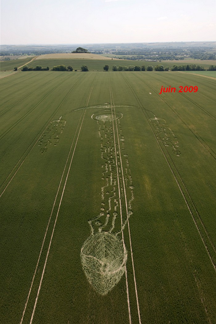 images originales : les crop circles de 2017 - Page 2 Yjoweg10