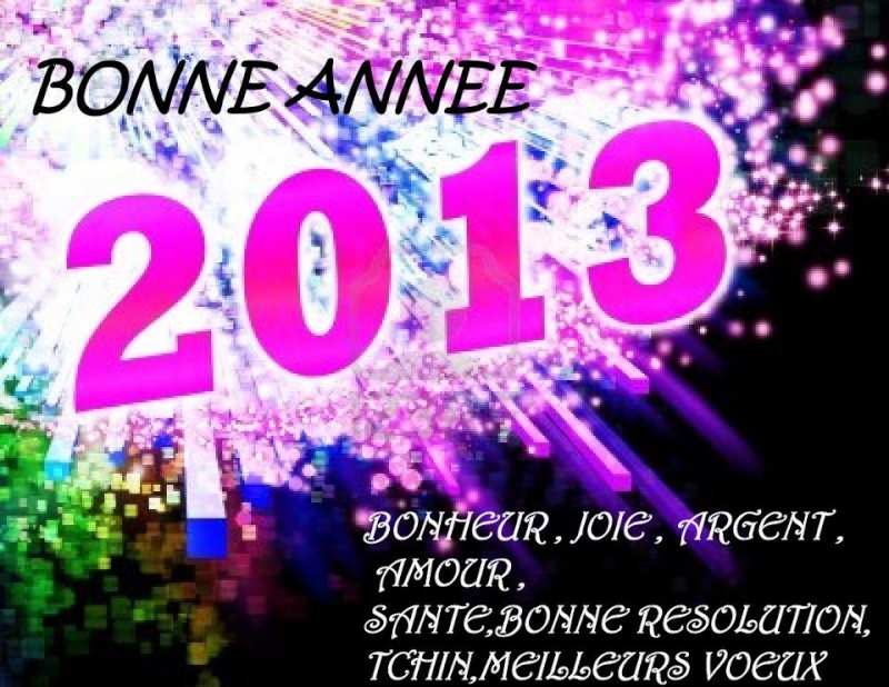 bonne année 2013 à tous. 201310