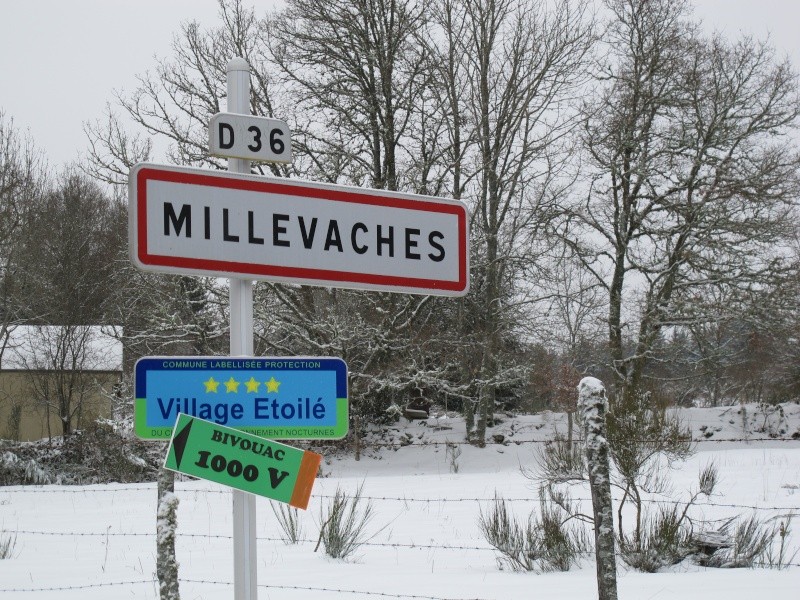 millesvaches 2012 Millev10