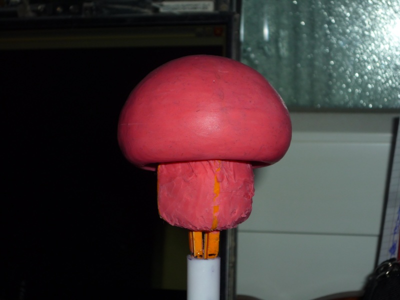 Un petit champignon (de mario) P1020322