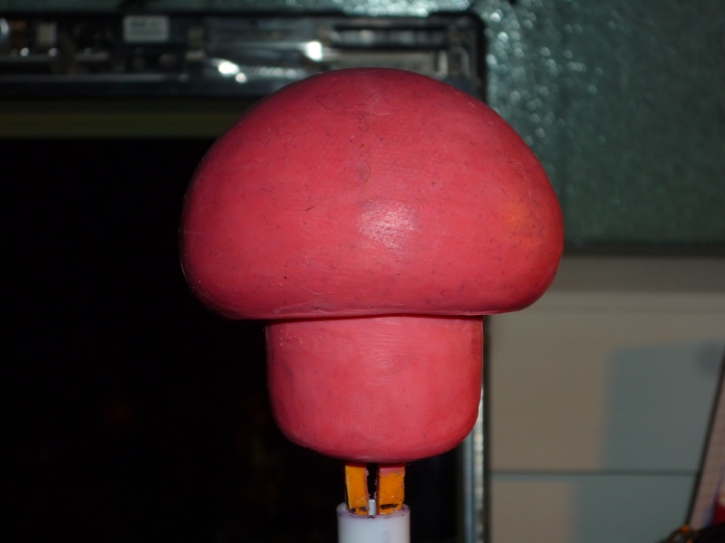 Un petit champignon (de mario) P1020324