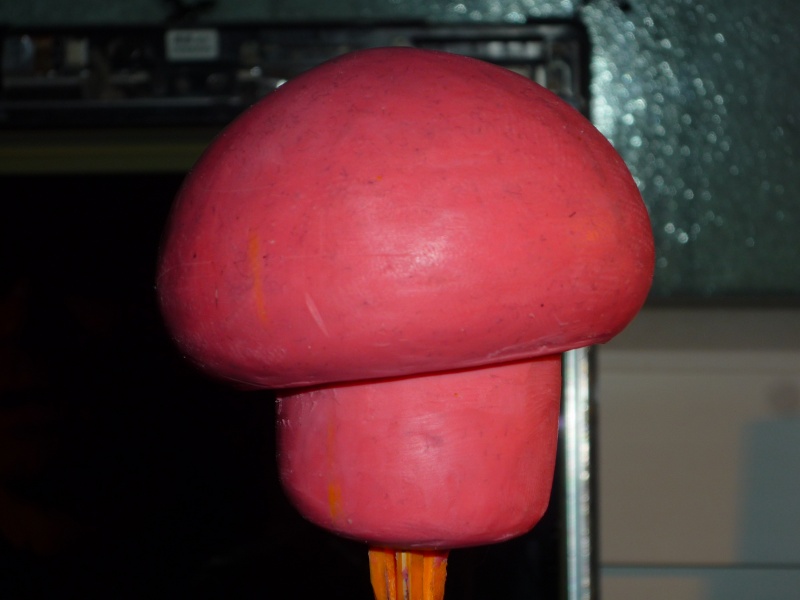 Un petit champignon (de mario) P1020325