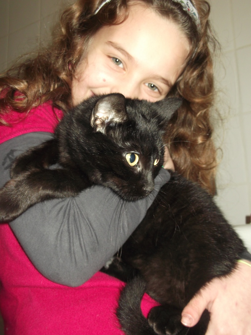 LOL, chatonne noire, née mi-juillet 2012 Dscf5414