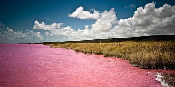 O misterioso lago de água rosa Lago-h11