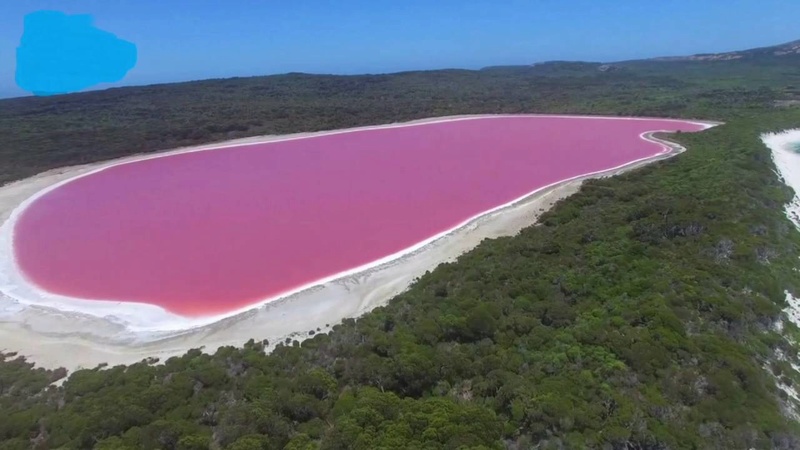 O misterioso lago de água rosa Maxres10