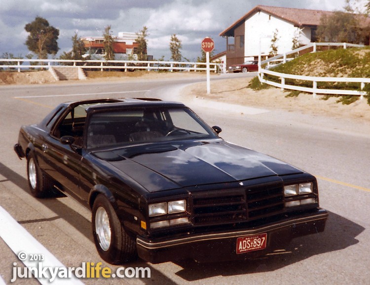 76 century "grand national" 1976-b10