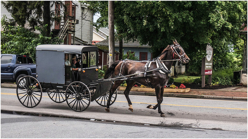 Nouvelle Angleterre par les Byways (chemins de traverse) Amish-10