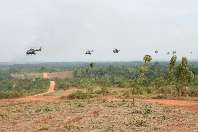 Armée Indonésienne / Indonesian National Armed Forces / Tentara Nasional Indonesia - Page 23 2016