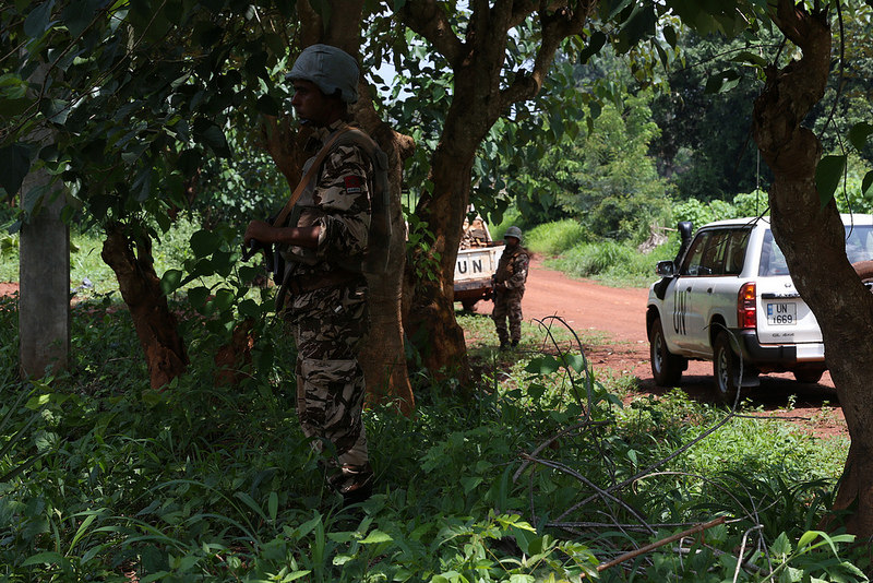 Intervention militaire en Centrafrique - Opération Sangaris - Page 31 2810