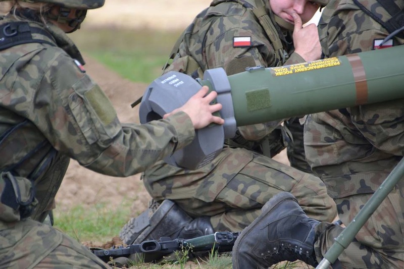 Les Forces Armées Polonaises/Polish Armed Forces - Page 23 725