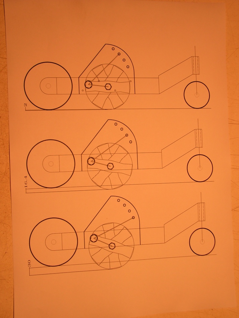 Scarificateur pour TERRA Pict1127