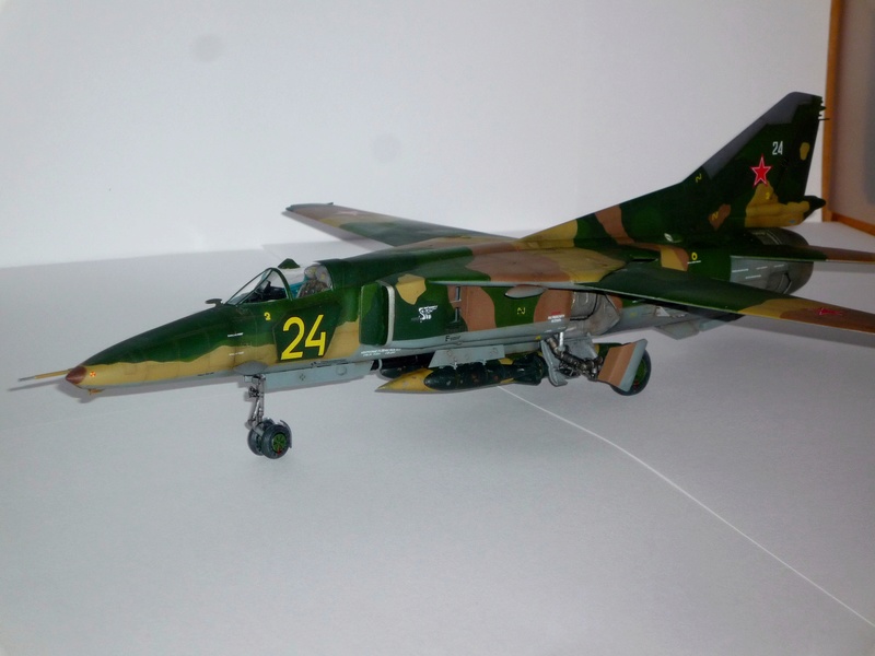 MiG-27 "Flogger-D"; Trumpeter 1/48 - Page 4 P1100316