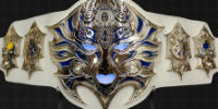TNA - Championships _gen_t12