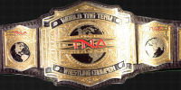 TNA - Championships Tna_wo11
