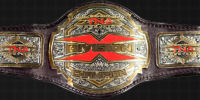 TNA - Championships Tna_x-11