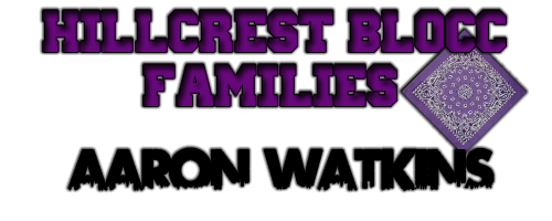 Hillcrest Blocc Families :: Chapter II [Screenshots & Vidéos] - Page 11 Image_12