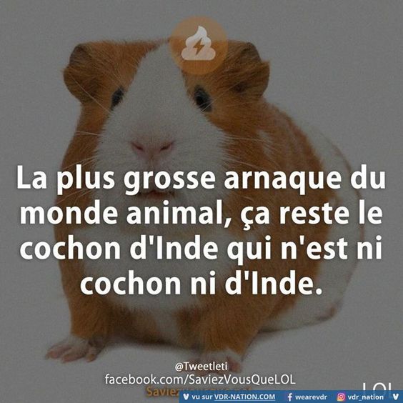 HUMOUR - blagues - Page 8 04762410