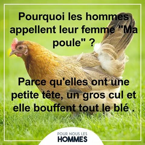 HUMOUR - blagues - Page 10 16299310