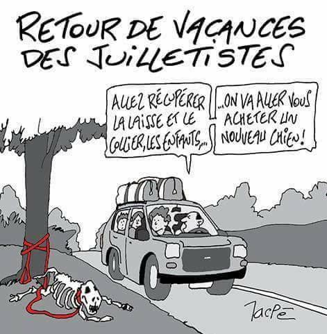 HUMOUR - blagues - Page 8 20294310
