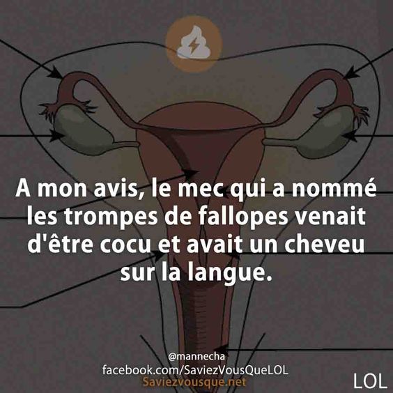 HUMOUR - blagues - Page 6 33076b10